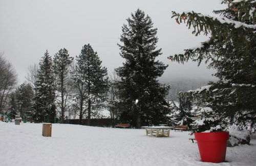 Au pied des pistes Côte 2000 - Le Balcon de Villard de Lans - Foto 70
