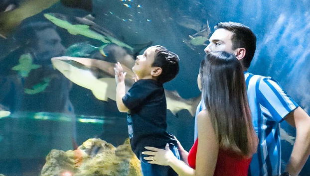 Michin Aquarium Guadalajara Ticket - Foto 5