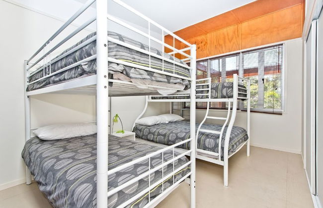 The Birdcage - Foto 4