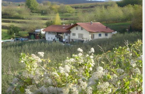 Weingut Ringwald - Foto 19