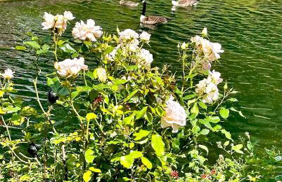 Amazing Location - City of London- 2 Bedroom Stunning Canal View House With Private Garden,Parking & Balcony - Foto 74