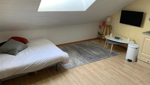 STUDIO SPACIEUX remis a neuf Sur Pistes - Foto 2