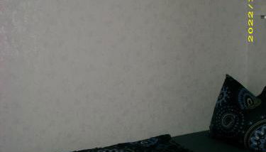 scheels-ferienwohnung - Foto 2