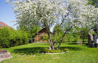 Apartamenty Osowa nad jeziorem Okmin - Foto 62