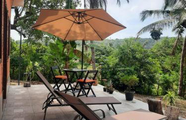 Abelha & Peixe Boi - Photo 30