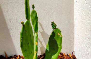 Da Mimma di Casa Camilla Journey - Foto 24