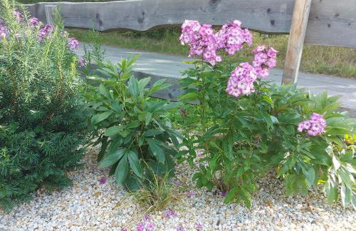Ferienwohnung Reinhold - Foto 12