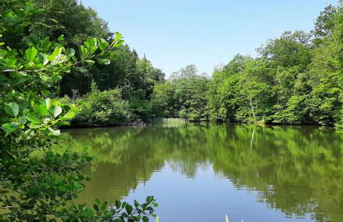 Gelbe Koffer - Design-Apartment in Schiffweiler - 2 Parkplätze - Self-Check-in - ruhig & naturnah - Foto 34