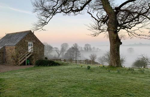 Polly's Bower - Foto 24