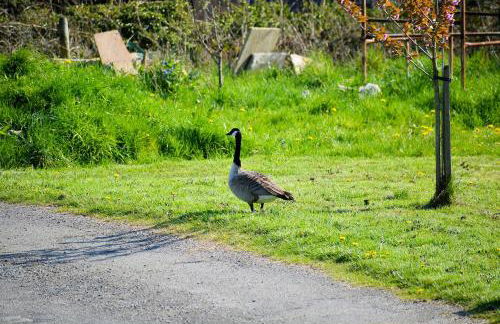 Family Retreat or Romantic Break - Foto 32