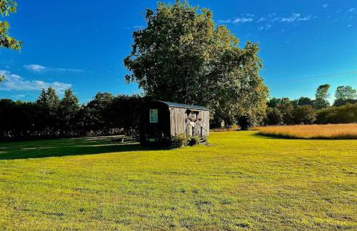 Mountbatten Shepherds hut & Buckhurst Shepherds hut - Foto 14