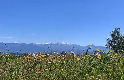 Villa Delfini - Foto 53