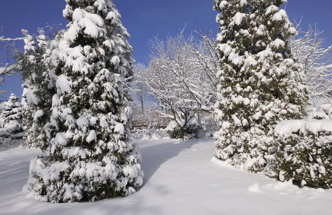 Apartment in Langewiese Sauerland With Garden - Foto 39