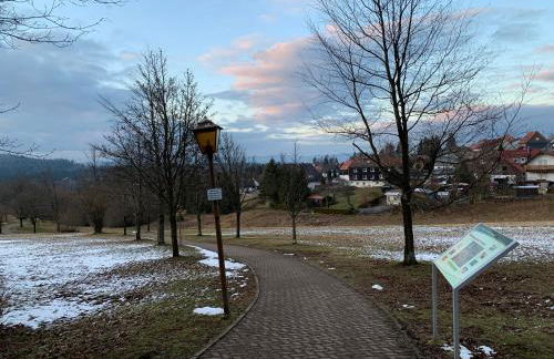 Gemütliche Ferienwohnung Harz Braunlage Hohegeiß - Foto 20