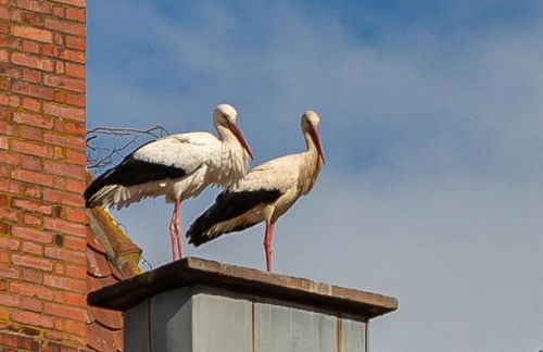 appartement Vintage a l ancienne forge - Foto 56