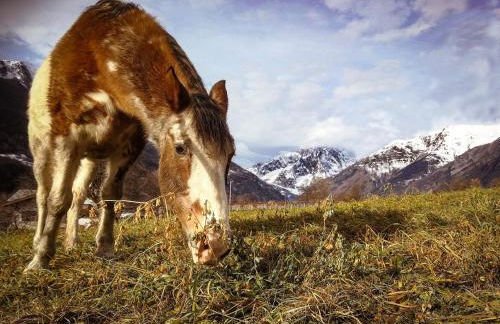 Casa Nossur - Foto 25