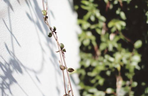 Agriturismo Beatilla - Photo 88