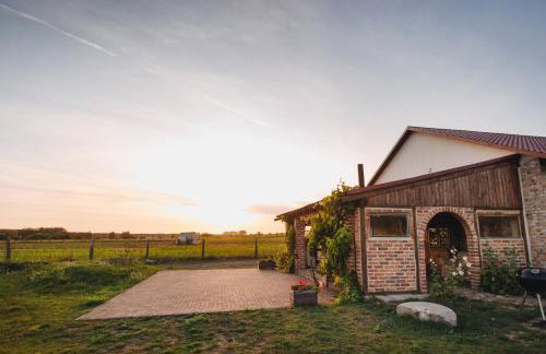 Winnica Mozów - Foto 7