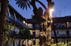 Andalusian Courtyard - Foto 72