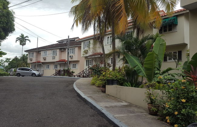 Beautiful Tallyman - Foto 12