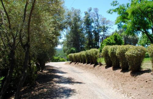 Holiday Home Villa Belle Vue- direkt am Meer- 1-2 Haustiere erlaubt by Interhome - Foto 7