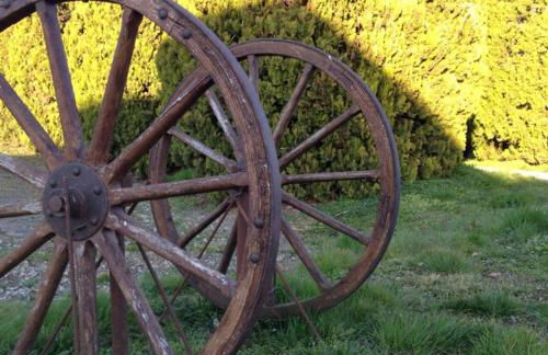 Agriturismo Albero del Latte - Foto 37