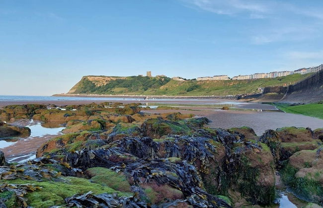 Marlborough Sea View Holiday Apartments - Foto 69