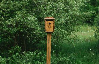 Bay Point Hideaway in the Woods - Foto 49