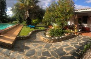 Monte do Rei Santo - Foto 40