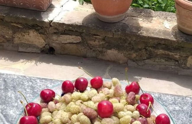 Casa Juliana Comfortable Holiday Residence - Photo 17