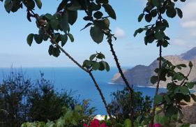 Apartamentos Casa María - Foto 41