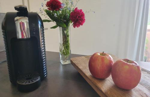 Familienfreundliche großzügige Ferienwohnung Schlierachwelle zwischen Schliersee und Tegernsee - Foto 14