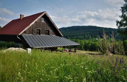 Chata nad Dziką Orlicą z jacuzzi - Foto 38