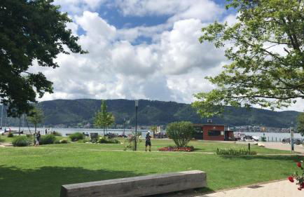 Über den Dächern von Bodman - Foto 21