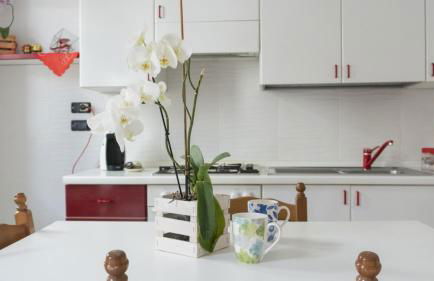 Casa a mare Mongiove - Foto 17