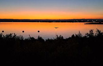 Endless Summer - Photo 41