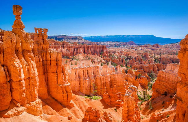 Las Vegas, The Grand Canyon and Antelope, Bryce & Zion Canyons 4-Day Tour - Foto 6