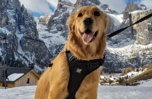 Appartments Peter - Foto 30