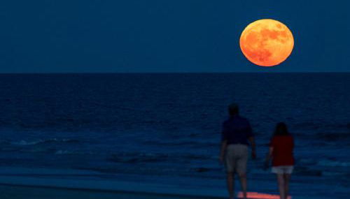 Million Dollar Oceanfront View - Foto 4