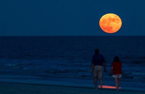 Million Dollar Oceanfront View - Foto 4