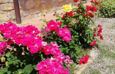 Agriturismo Collomici - Foto 25