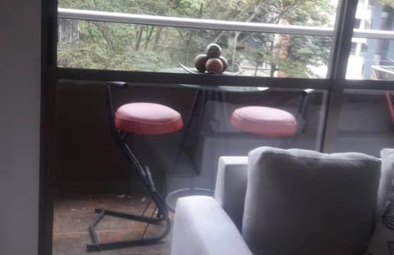 Apartamento En Envigado Super Comodo Y Lindo - Foto 5