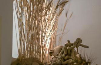 Memorias Sangri Naxos - Foto 35