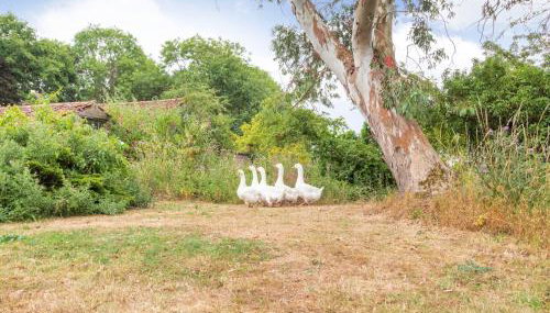 The Hen House - Photo 3