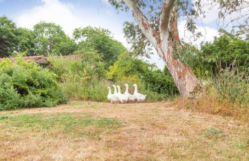 The Hen House - Photo 3