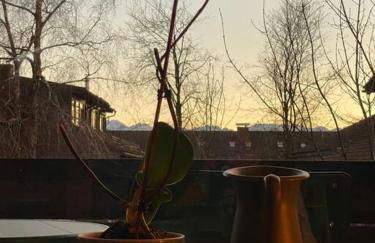 Grünes Stüble Allgäuer Alpen - Foto 17