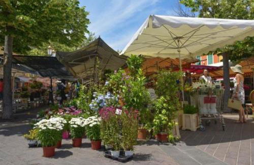 Jardin tropical, parking, climatisation - Photo 7