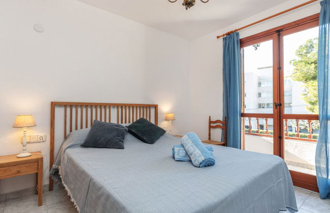 Jorge Comin - Foto 11