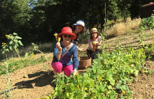 Agriturismo La Dimora dei Cavalieri - Photo 35