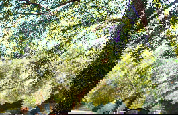 Villa Tereza - Foto 38